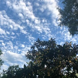 Meet your Posher, Dena